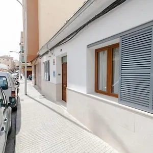 Center Palma